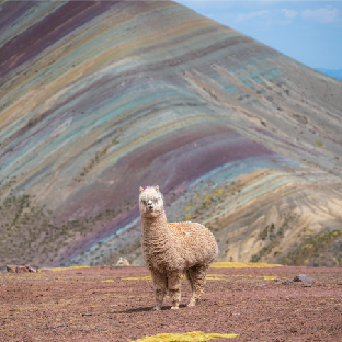 Montaña de Colores