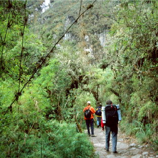 Camino Inca