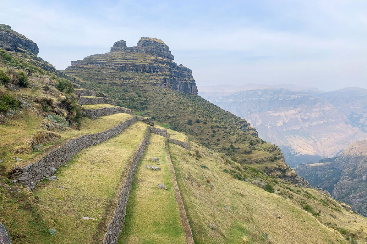 Maras Moray